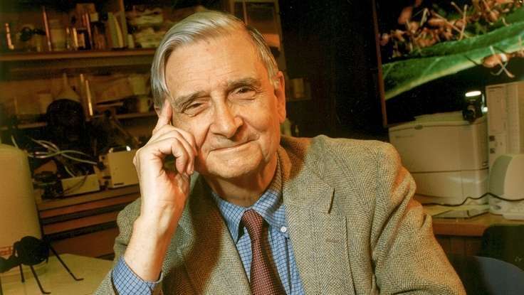 Good Scientists Need Passion: Edward O. Wilson on NPR